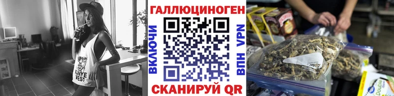 Купить где  Березники  Галлюциногенные грибы Magic Shrooms 